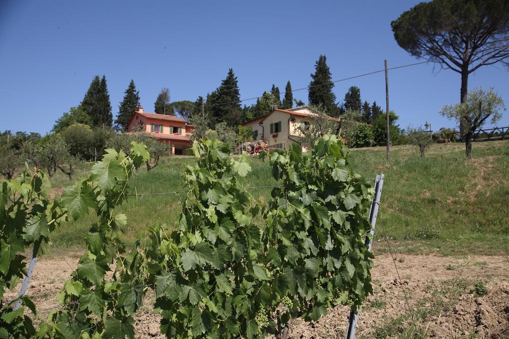 Agriturismo Podere Poggio Ai Cieli 산지미냐노 외부 사진