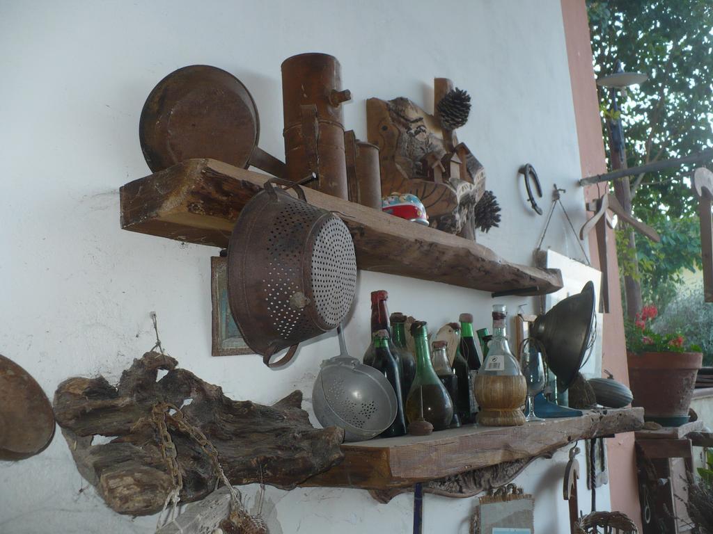 Agriturismo Podere Poggio Ai Cieli 산지미냐노 외부 사진